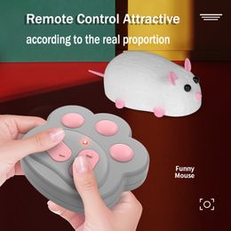 Electric/RC Animals Remote Control Mouse Teasing Cat and Mouse Fight Pet Toy Simulation Flocking Electric with Light Electronics 230724