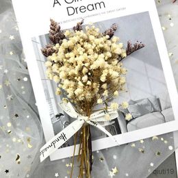 Dried Flowers 2g Mini Baby's Breath Dry Flower Photo Props Flores Secas Naturales Wedding Birthday Decoration Home Gifts Dried Flowers R230725