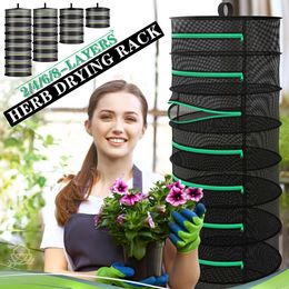 Other Home Storage Organisation 28 Layer Herb Drying Rack Folding Mesh Hanging Net for Flower Plants Vegetable Bud Dryer Dry Basket Organiser 230725