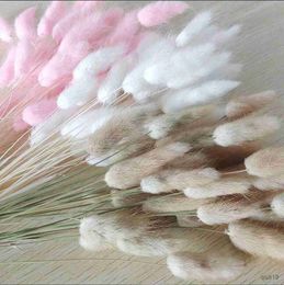 Dried Flowers 50piece Dried Natural Bunny Tails Flowers Tail Grass Flower For Home Wedding Decoration R230725