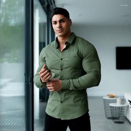 Men's Casual Shirts 2023 Summer Business Solid Color Without Ironing High-quality Anti-wrinkle Long-sleeved Top