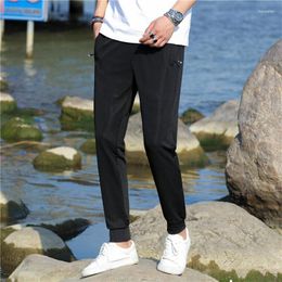 Men's Pants Summer Thin Casual Ice Silk Breathable Loose Air Conditioning Sports Fashion