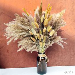 Dried Flowers Grass Decor Small Reed Grass for Home Wedding Decor Dried Flowers Arrangements Natural Pompous Grass Bunny Tail Deco R230725
