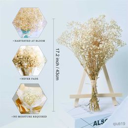 Dried Flowers Dried Flowers Babys Breath Bouquet Flowers Bulk for Natural Branches Wedding Table Decor DIY Wreath Floral R230725