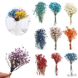 Dried Flowers Colourful Dried Flowers Small Natural Dried Floral Plants Mini Real Bouquets Home Decoration Photography Props Art Craft R230725