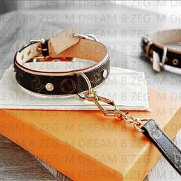 Designer Dog Collar Leashes Set Classic Old Flower Pattern Soft Adjustable PU Leather Trendy Dog Collars for Small Medium Dogs Cat279H
