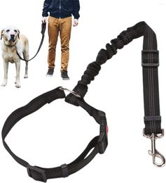 Dog Collars Cat Seat Belt - Adjustable Car Leash Reflective Design 360 Degree Heavy Duty Leashes Accessories