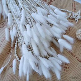 Dried Flowers 20pcs White Grey Black Home Decor Rabbit Tail Grass Dried Natural Flowers Wedding Birthday Table Decoration Accessories R230725