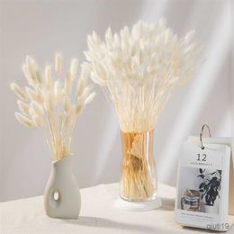 Dried Flowers 100PCS Natural Bedroom Decor Bunny Rabbit Tail Grass Dried Flowers Bouquet Wedding Decoration Artifical Flowers Home Table Decor R230725