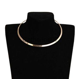 Pendant Necklaces New Simplicity Neck Jewellery for Ladies Personalised Metal Flake Choker Necklace Fashion Style Golden Sliver Plated Necklace J230725