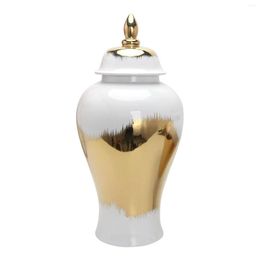 Storage Bottles Simple Jar Vase With Lid Collection Pot Display Ginger For Cabinet