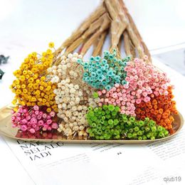 Dried Flowers 50pcs lot Happy Flower Natural Dried Flower Bouquet Home Decoration Real Flower Diy Flower Arrangement Flower Shooting Props R230725