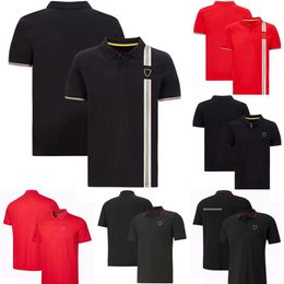 F1 Team Lapel Polo Shirts Formula 1 Drivers Racing T-Shirts Short Sleeves Car Fans Summer Breathable Oversized T Shirts Men's263l