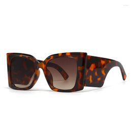 Sunglasses Big Frame Vintage Butterfly Oversized Women For Men Fashion Designer Punk Sun Glasses Trendy Cool Shades