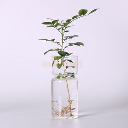 Vases Transparent Hyacinth Glass Vase Flower Planter Pot DIY Terrarium Container Decor