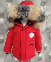 Girls boys Luxury fashion expedition windproof fashion goose down coats silver fox fur hooded Puffer Down Coat designer children's wintter warm clothes