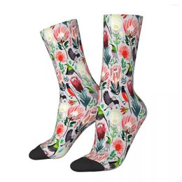 Men's Socks Sunbirds Proteas On Grey Male Mens Women Spring Stockings Harajuku