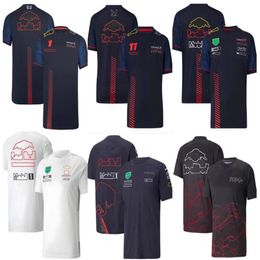 F1 racing T-shirt polyester quick-drying team crew neck POLO shirt with the same style of customization243S