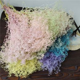 Decorative Flowers Wreaths 35-40g/ Dried Natural Flowers Million Babybreath Bouquet Dry Eternell Gypsophila Flower Mini Babys Breath Home Decor 230726