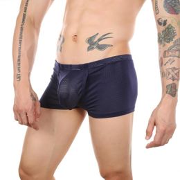 Underpants Men Mesh Transparent Boxer Short Penis Pouch Panties Sexy Sheer Side Open Crotch Trunks Underwear Breathable