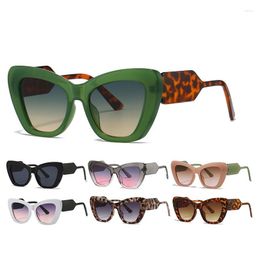 Sunglasses Custom Logo Retro Luxury Oversized Cat Eye Gradient UV Protection Eyewear Women Shades Sun Glasses Streetwear