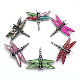 Pendant Necklaces Vintage Classic Abalone Shell Dragonfly Brooch Glamour Jewelry Ladies Men's Fashion Insect Metal Badge
