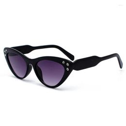 Sunglasses Factory Sale Cat Eye Shape Women Fashion Outdoor