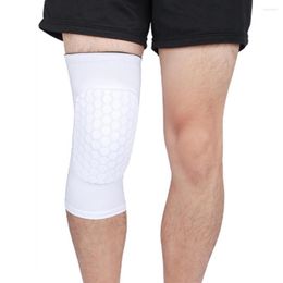 Knee Pads 1pc Compression Sleeves Kneepads Breathable Spandex Shockproof Patella Stabiliser Cushioned For Mountaineering Running