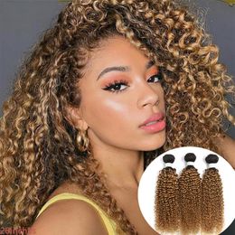 Honey Brown Hair Weave Kinky Curly Human Hair Bundles Brazilian Virgin Hair Wefts Color 1b 27273N