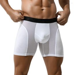 Underpants Men's Long Boxer Underwear Man Sexy U Convex Mesh Breathable Panties Extended Wear-Resistant Legs Men Boxershorts Plus Size 6XL