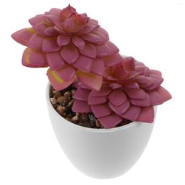 Decorative Flowers House Plants Succulents Small Artificial Fake Patio Bonsai Potted Mini Plastic Pots