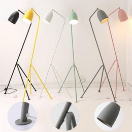 Floor Lamps Retro Living Room Lamp Designer Grasshopper For Bedroom Bedside Study Indoor Nordic Macaron Standing Light