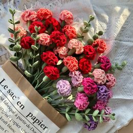 Decorative Flowers Wreaths 10 PC Carnation Wool Flower Hand Woven Artificial Flower Finished Product Artifiical Flowers Creative Mother's Day Gift 230726