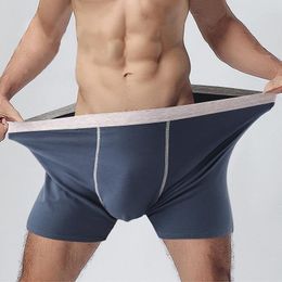 Underpants Men's Underwear Cotton Men Breathable Plus Size 7XL Solid Elastic Comfortable Boxer Shorts Sexy Male Panties Cueca