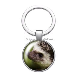 Keychains Lanyards Love Animals Horse Hedgehog Pig Glass Cabochon Keychain Bag Car Key Chain Ring Holder Sier Color Men Women Gifts Dh8Vm