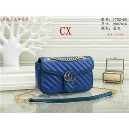 2023 Top Design Luxury Bags high quality trend cover type contrast Colour chain small square