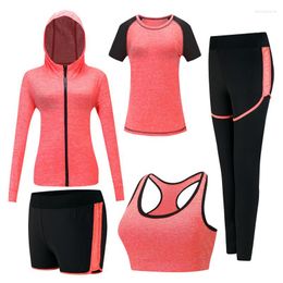 Active Sets Quick Dry Women Yoga Clothing Hooded Coats T Shirt Bra Shorts Pants 5 Pieces Set Womens Autumn Outdoor Running Sportswear Gym
