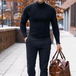 Men's Sweaters Casual Long Sleeve Bottoming Shirt Spring Fall Stretch Basic Solid Slim Tops Mens Thermal Turtle Neck Skivvy Pullover