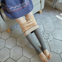 Pants Winter Warm Leggings Thermal Tights Leggings Pantyhose Translucent Sock Pants High Waist Sexy Warm Fake Tights