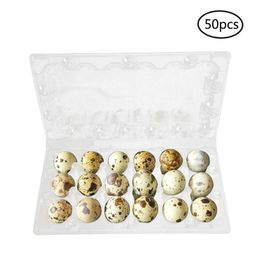 50pcs 12 15 18 Grids Quail Egg Carton Storage Container Organizer Disposable Pvc Storage Box Transparent Egg Dispenser Holder U3 C242m