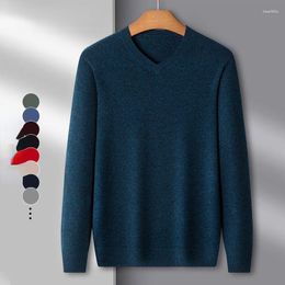 Men's Sweaters 2023 Fashion Brand Sweater Mens Pullover V Neck Slim Fit Jumpers Knitting Warm Autumn Korean Style Casual Clothes R145