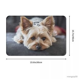 Carpets Cute Mini Terrier Doormat Bathroom Rectangle Soft Mat Kitchen Home Hallway Anti-slip Floor Rug Door Mat Bath Mat R230728