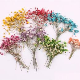 Decorative Flowers Wreaths 120Pcs Pressed Dried Flower Gypsophila Panicata Filler For Epoxy Resin Jewellery Making Postcard Frame Ph Dhqwl