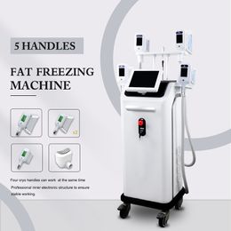 Cryo Fat Freezing Slimming Device Double Chin Treatment Cryolipolysis Machine Fat Freezer Cellulite Reduction Skin Tightening Machine