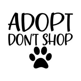 14 7 12 7CM ADOPT DON'T SHOP Rescue Dog pet Love Paw Print Puppy Vinyl Decal Car Sticker Black Silver CA-1204279k