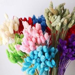 Decorative Flowers 50pcs Natural Dried Flower Gem Jewellery Grass Phalaris Wedding Decoration Preserved Artifical Bouquet Boho Room Hoom Decor