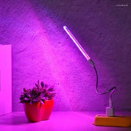 Grow Lights Phyto Lamp USB 5V LED Light Full Spectrum Red Blue Indoor Phytolamp For Plants Flowers Seedling Greenhouse