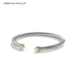 Bangle Bangle Pearls Womens Head Luxury Men Bracelet Homme Father Day Gifts Plated Silver Twisted Helix Wire Pulsera Cuff Cable Designer Bracelets