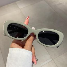 Sunglasses Classic Small Frame Cat Eye Women For Men Fashion Vintage Trendy Sun Glasses Designer Punk Hip Hop Shade