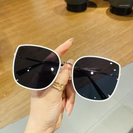 Sunglasses Unisex Retro Polarised Men Women UV Protection Classic Vintage Outdoor Eyewears